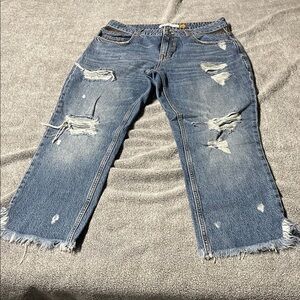 Zara Blue Distressed Cropped Ankle Jeans